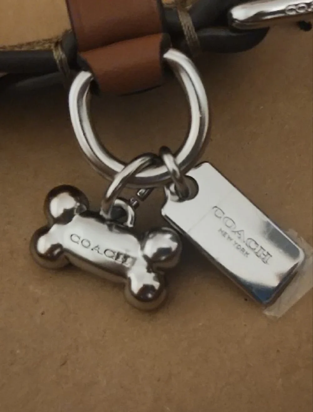 Coach Dog Collar